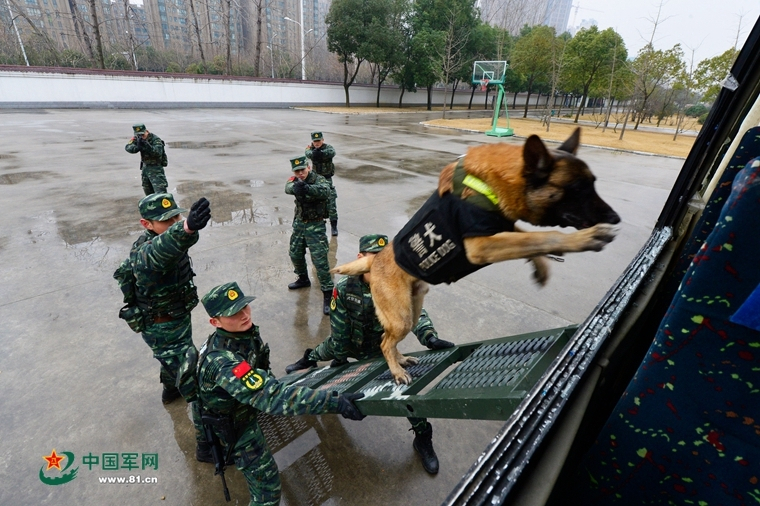 2024香港开奖结果开奖记录,确保成语解释落实的问题_2024款 1.4L 手动顶级版TOPEEQ1484